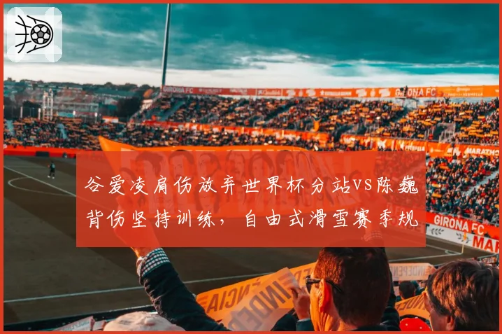 谷爱凌肩伤放弃世界杯分站vs陈巍背伤坚持训练,自由式滑雪赛季规划迥异